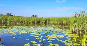 Hooked on Barra Fishing Experience