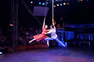 Evening Phare Circus & Dinner by Tuk Tuk (Without Guide) | Half Day Private Tour