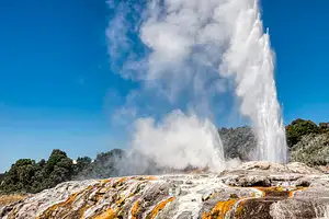 Rotorua & Te Puia Highlights Small Group Tour