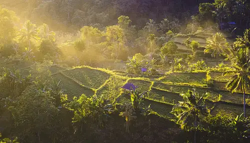 19 Day Epic Indonesia Tour Canggu to Labuan Bajo | Intro Travel
