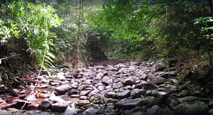 Bach Ma National Park Trekking Full-day Guided Tour with Lunch