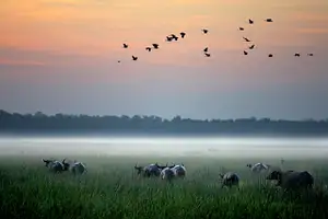 Kakadu National Park Night Tour