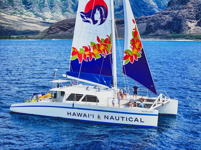 Oahu Whale Watching tour
