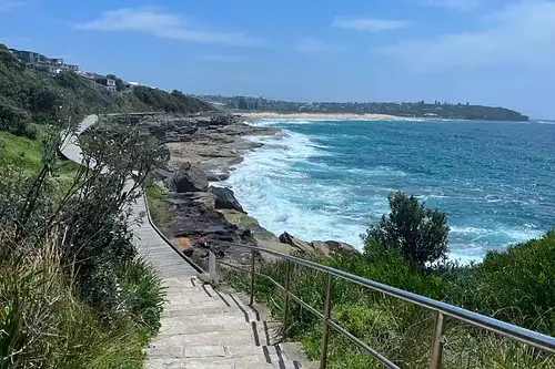 Northern Beaches Coastal Walk with Waterfront Lunch at Felons Manly