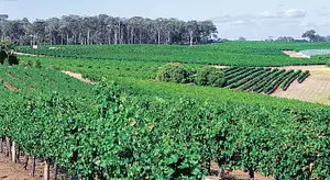 Western Australia day tours