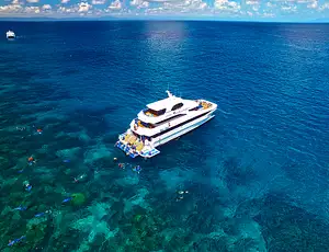 Ultimate TNQ 3 Day Package – Daintree, Cape Trib, Reef Trip & Chillagoe Caves