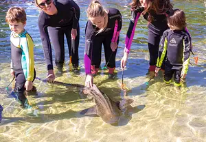 Wildlife Park Port Stephens