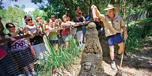 Hartley's Crocodile Adventures | Zootastic 5