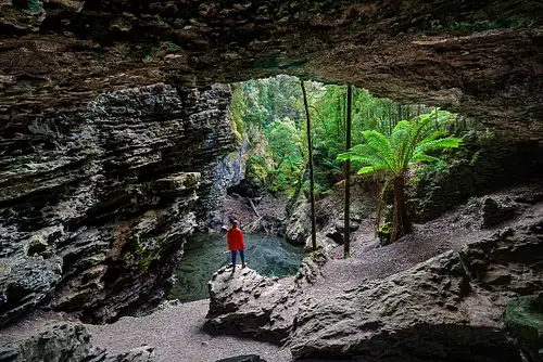 Best of Tasmania's Tarkine & Cradle Mountain
