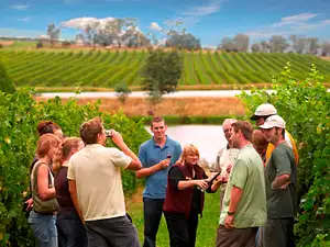 Yarra Valley Wine Experience with Lunch - Pick up Melbourne or Yarra Valley